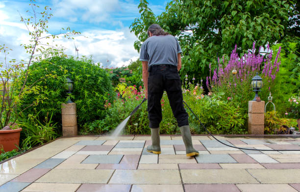 Best Parking Lot Cleaning in Mayfield Heights, OH